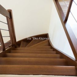 koka-kapnes-margas
